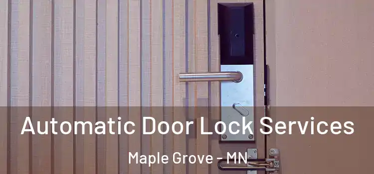 Automatic Door Lock Services Maple Grove - MN