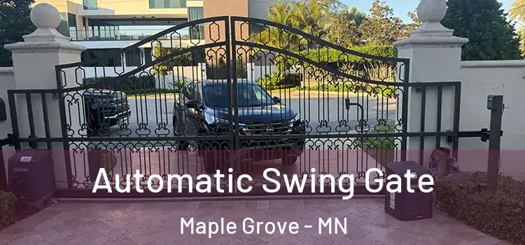 Automatic Swing Gate Maple Grove - MN
