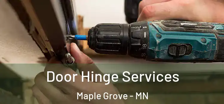 Door Hinge Services Maple Grove - MN