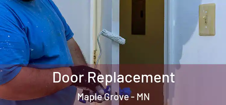 Door Replacement Maple Grove - MN