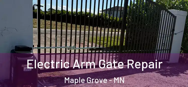  Electric Arm Gate Repair Maple Grove - MN