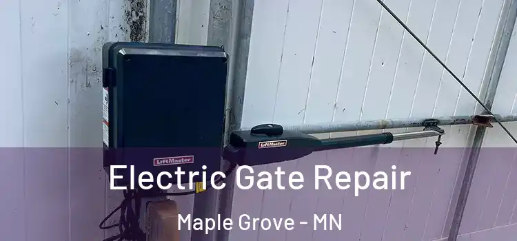 Electric Gate Repair Maple Grove - MN