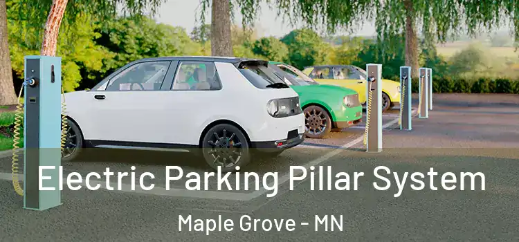 Electric Parking Pillar System Maple Grove - MN