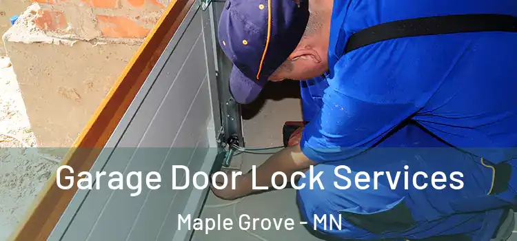 Garage Door Lock Services Maple Grove - MN