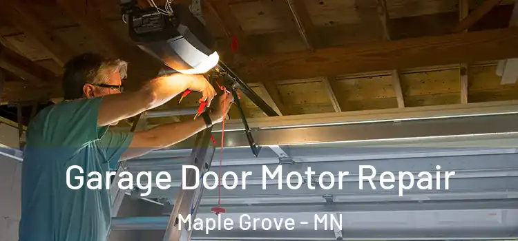  Garage Door Motor Repair Maple Grove - MN