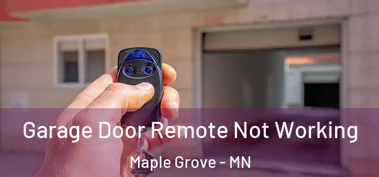  Garage Door Remote Not Working Maple Grove - MN