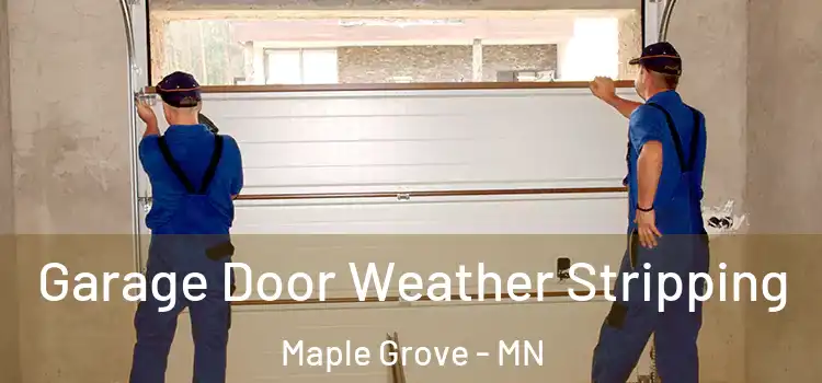  Garage Door Weather Stripping Maple Grove - MN