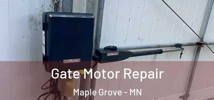  Gate Motor Repair Maple Grove - MN