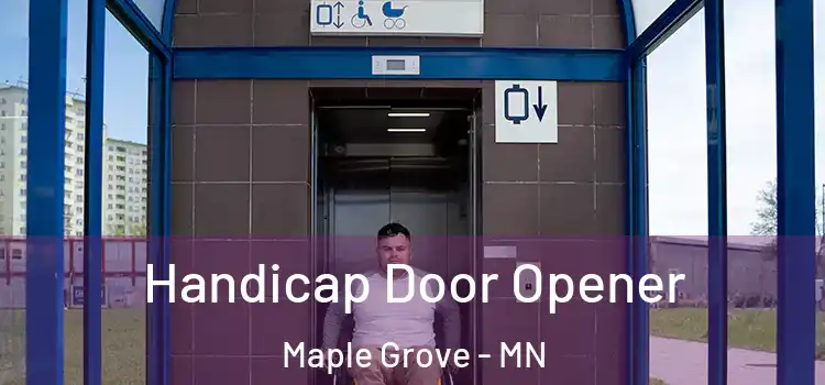  Handicap Door Opener Maple Grove - MN