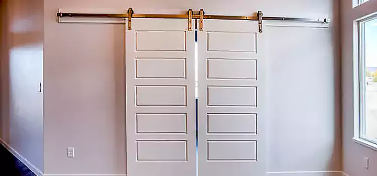 Glass Barn Door with Installation Hardware Kit Maple Grove