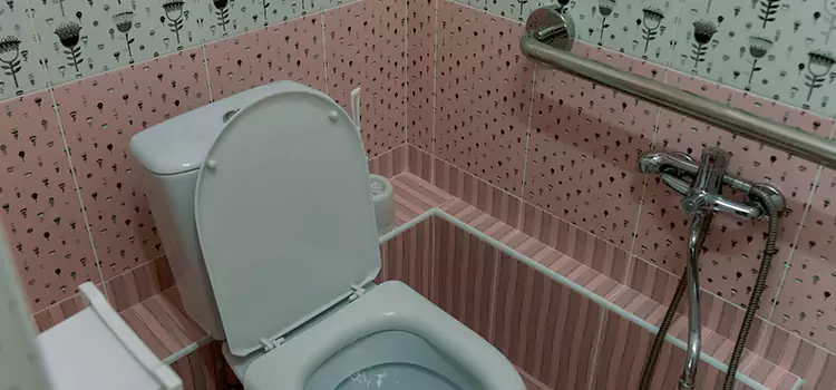 Meeting Diverse Needs With Accessible Restroom Solutions in Maple Grove, MN