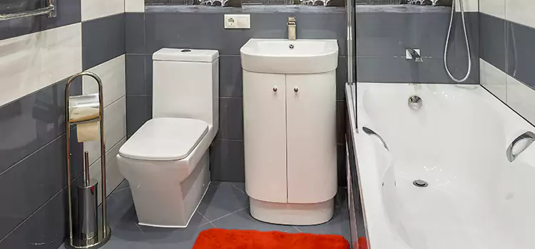 Hansgrohe Shaving Mirror Maple Grove