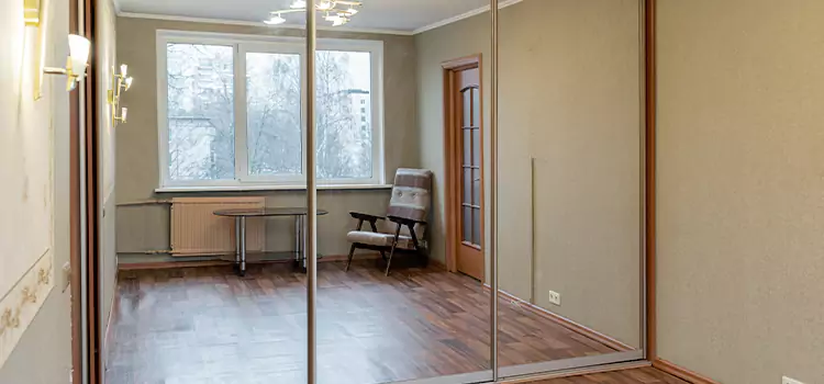 Mirror Closet Door Roller Replacement Maple Grove