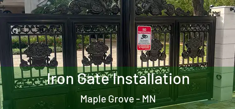 Iron Gate Installation Maple Grove - MN