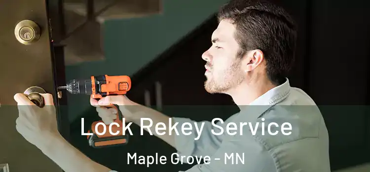Lock Rekey Service Maple Grove - MN