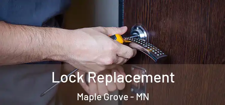 Lock Replacement Maple Grove - MN