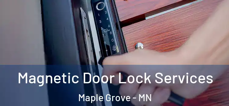 Magnetic Door Lock Services Maple Grove - MN