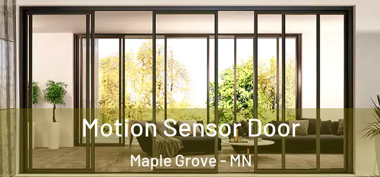 Motion Sensor Door Maple Grove - MN