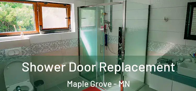  Shower Door Replacement Maple Grove - MN