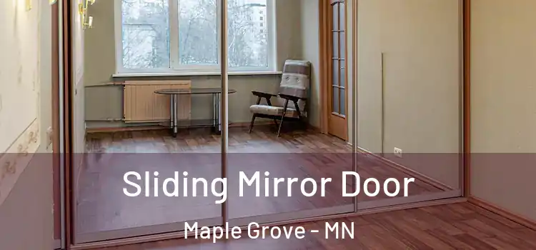  Sliding Mirror Door Maple Grove - MN